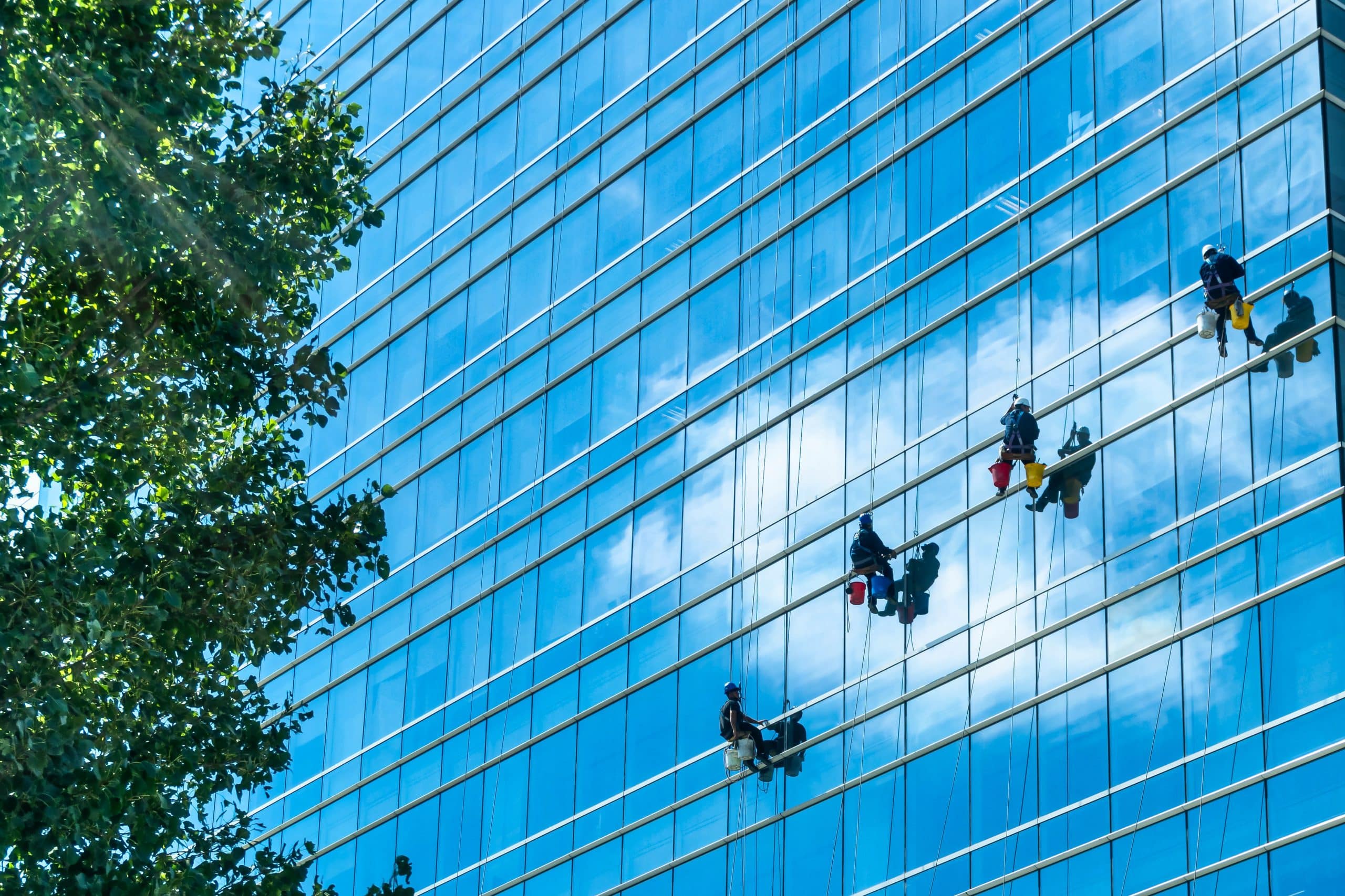 Key Insights into Effective Commercial Window Cleaning for Chicago Businesses